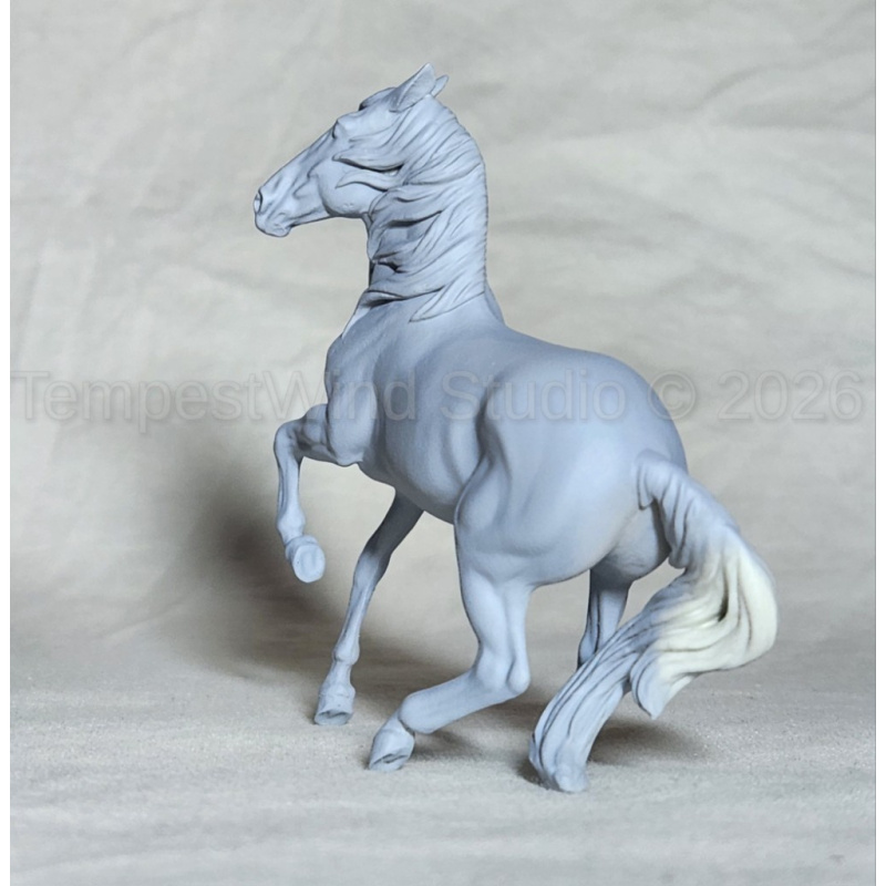 CM Breyer SM Alborozo