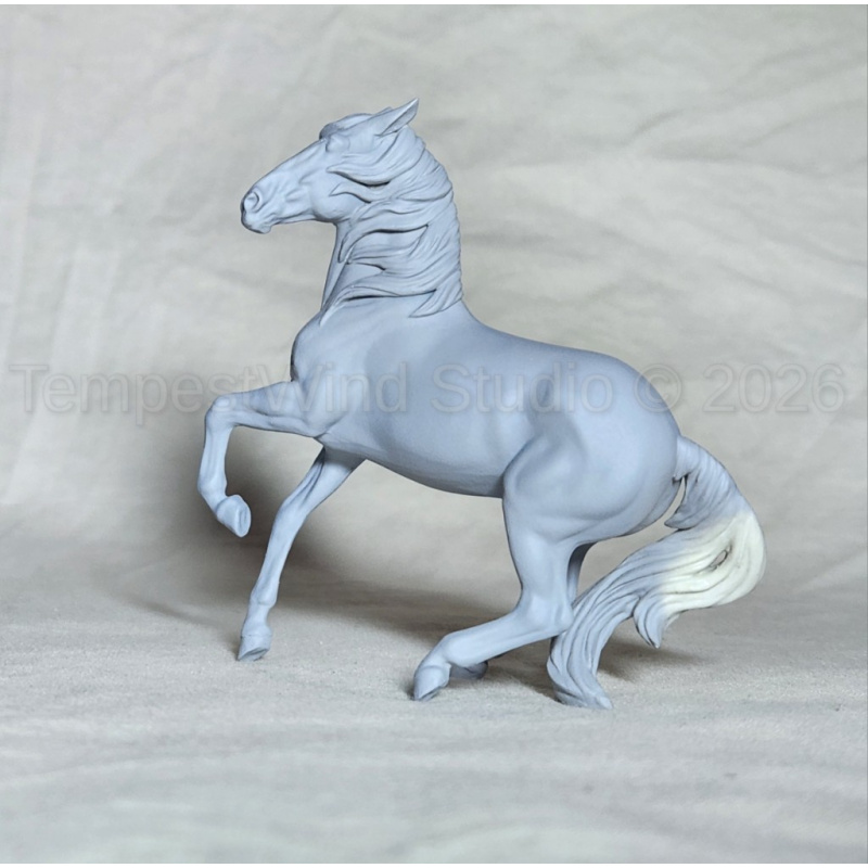 CM Breyer SM Alborozo