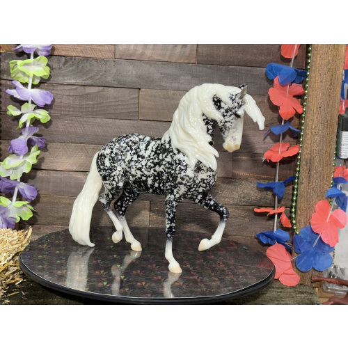 Breyer Custom Horse Traditional Animar Glossy Wild Dapple Black white Points