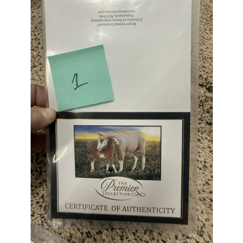 Breyer Material Premier Club COA Firefly & Hawkeye