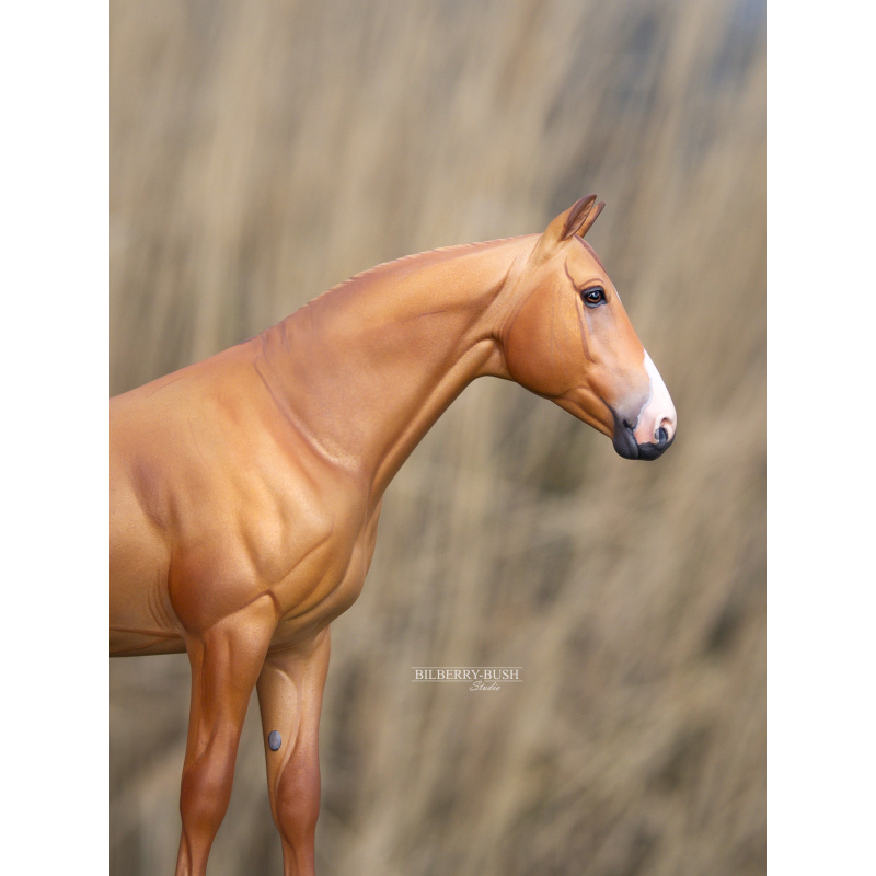Chestnut Don Horse Custom
