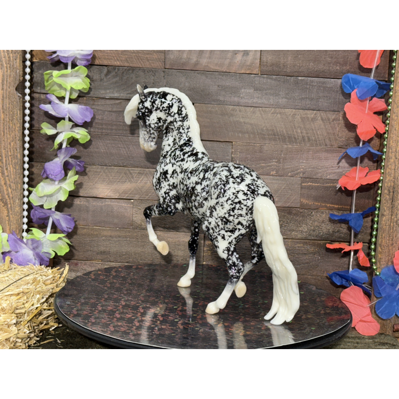 Breyer Custom Horse Traditional Animar Glossy Wild Dapple Black white Points