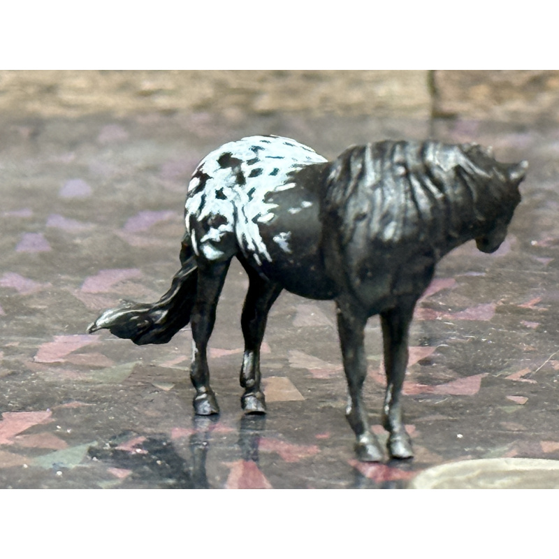 Resin Custom Horse Seunta Dime Sized Cutie To Black Appaloosa