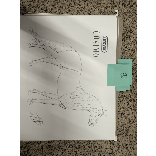 Breyer Material Premier Club Drawing Cossimo