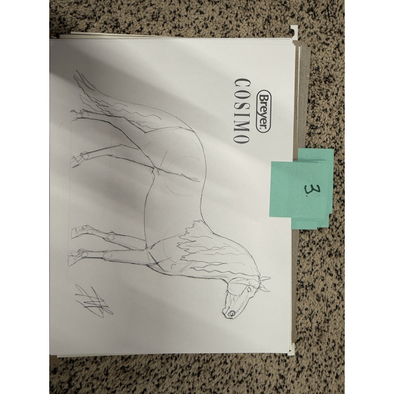 Breyer Material Premier Club Drawing Cossimo