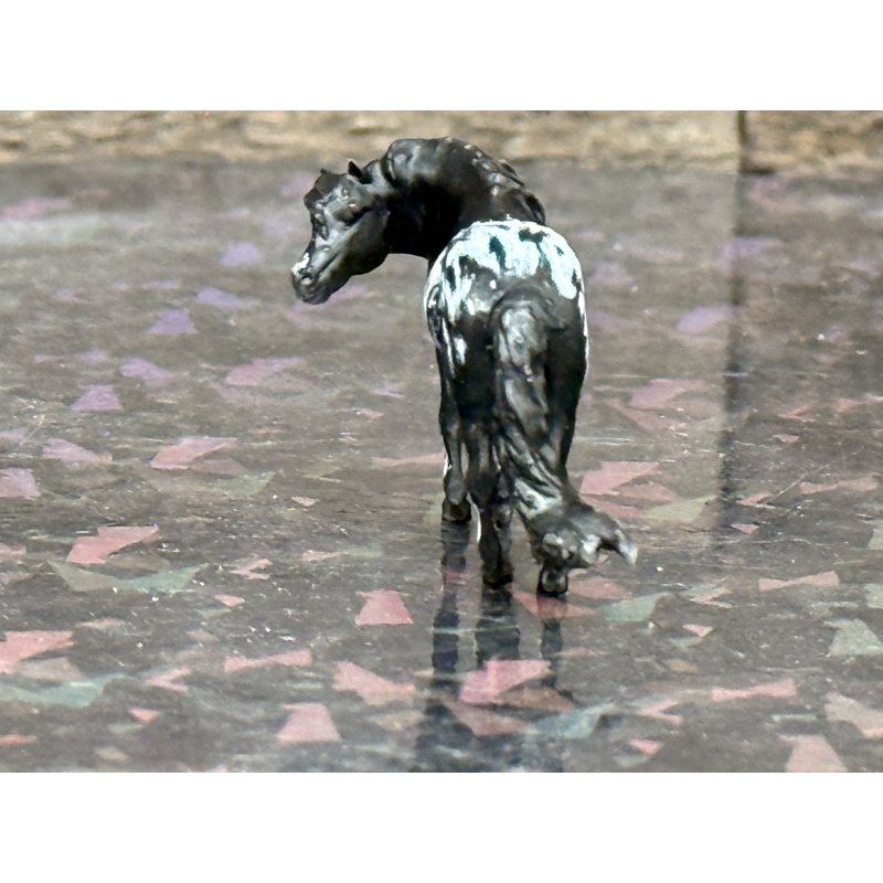 Resin Custom Horse Seunta Dime Sized Cutie To Black Appaloosa