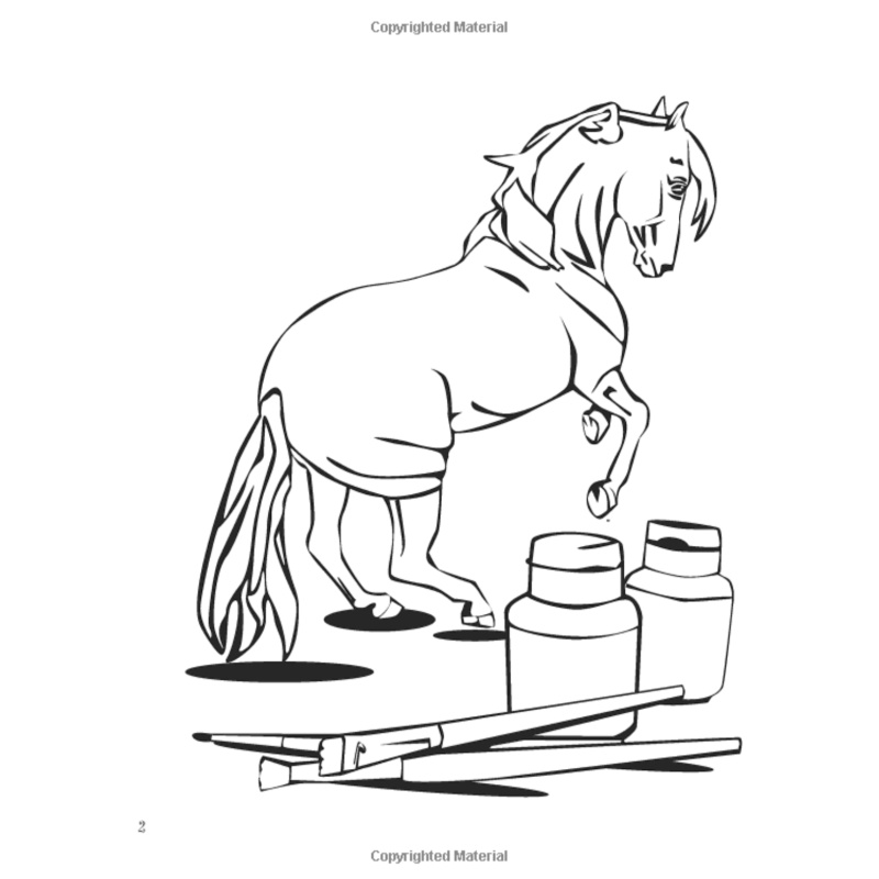Let’s Go To The Model Horse Show: A Coloring Book