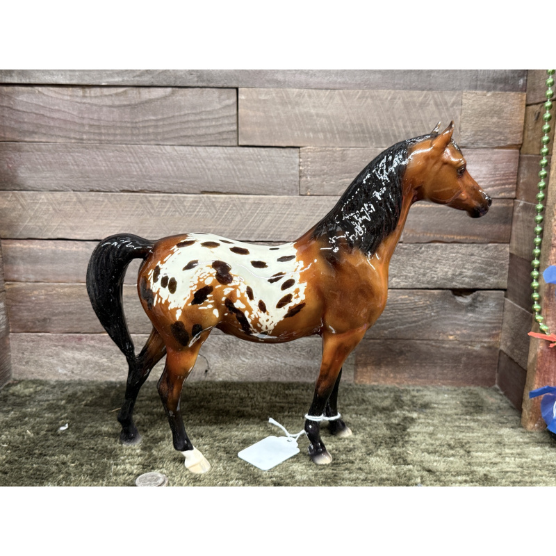 Breyer Custom Model Horse Proud Arabian Mare Buckskin Bay Blanket Appaloosa