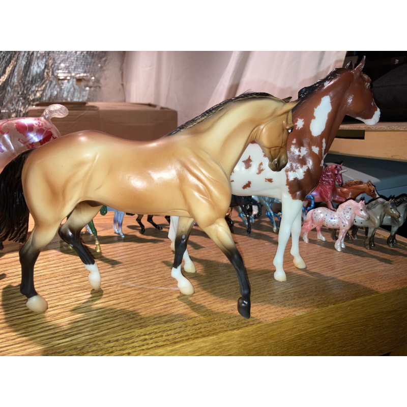 Breyerfest 2016 Tschiffely's Ride Gato and Mancha