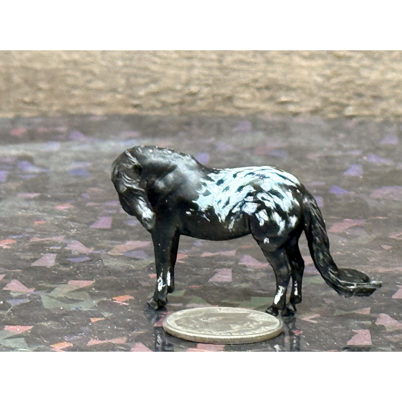 Resin Custom Horse Seunta Dime Sized Cutie To Black Appaloosa