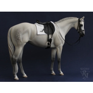 Dressage set top-LSQ