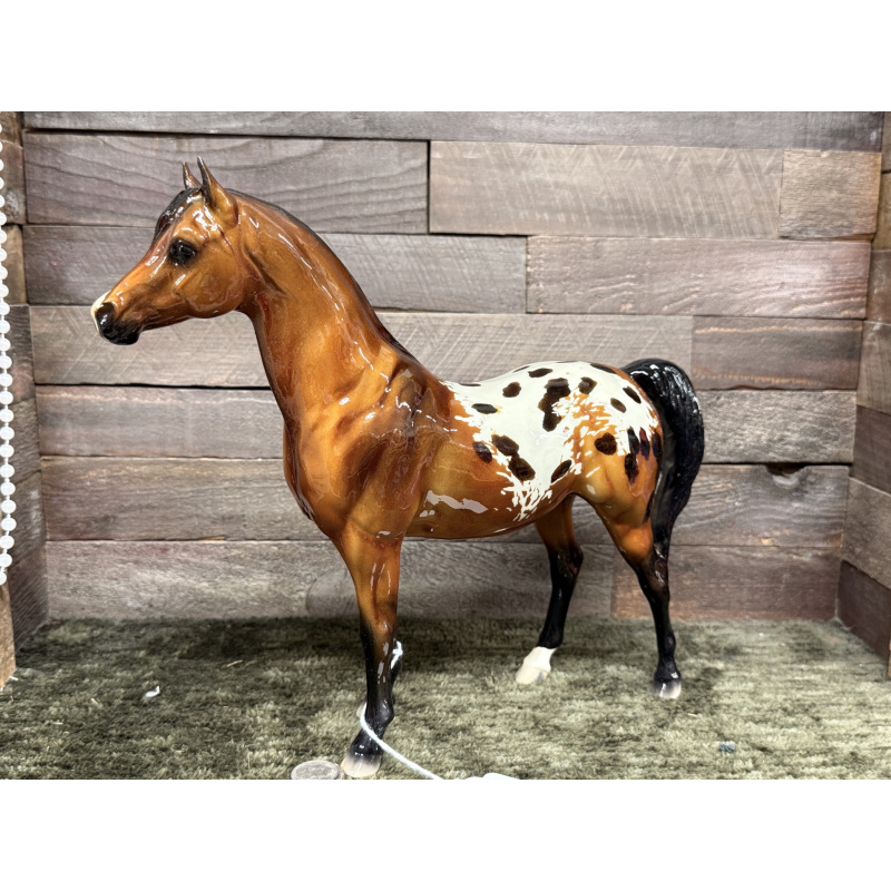 Breyer Custom Model Horse Proud Arabian Mare Buckskin Bay Blanket Appaloosa