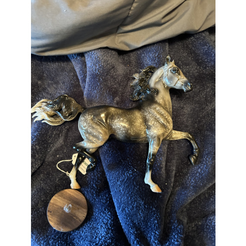 Breyer Paradigm with ribbons