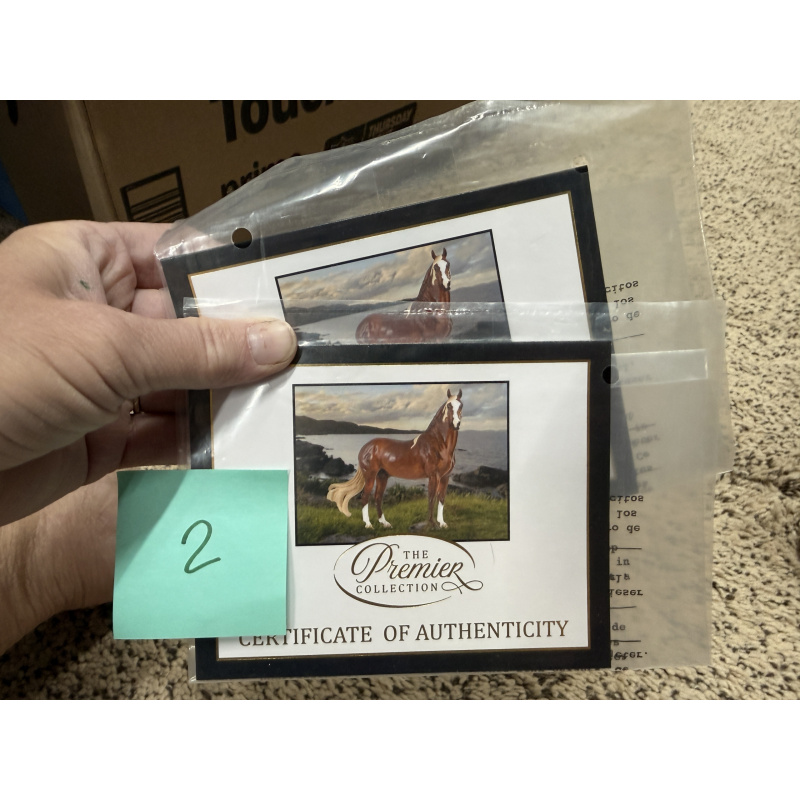 Breyer Material Premier Club COA Cancion