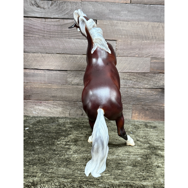 Breyer Custom Model Horse New Mold Carmen Done In Silver Bay