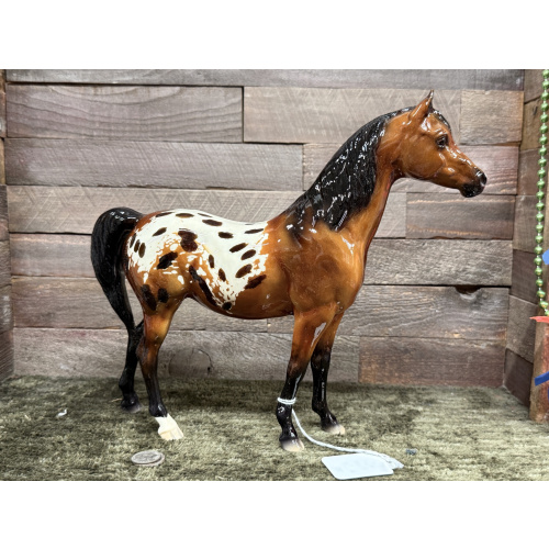 Breyer Custom Model Horse Proud Arabian Mare Buckskin Bay Blanket Appaloosa