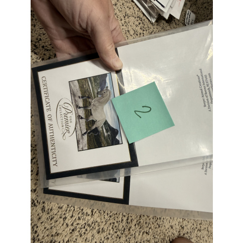 Breyer Material Premier Club COA Astrid