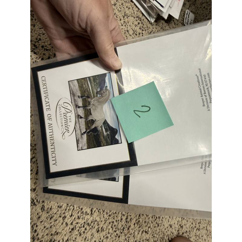 Breyer Material Premier Club COA Astrid