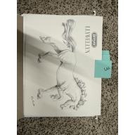 Breyer Material Premier Club Drawing Llywellyn