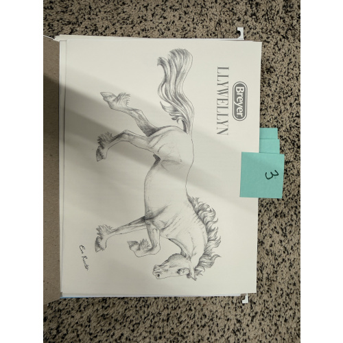 Breyer Material Premier Club Drawing Llywellyn