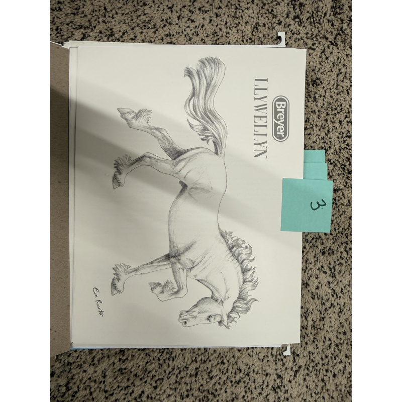 Breyer Material Premier Club Drawing Llywellyn