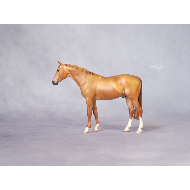 Chestnut Don Horse Custom