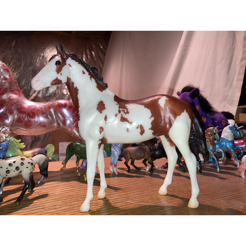 Breyerfest 2016 Tschiffely's Ride Gato and Mancha