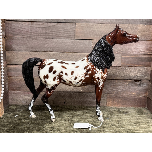 Breyer Custom Model Horse Zafirha Show Stance Arabian Bay Blanket Appaloosa