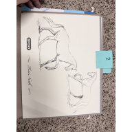 Breyer Material Premier Club Drawing True North