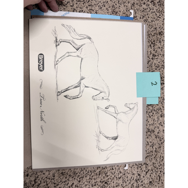 Breyer Material Premier Club Drawing True North