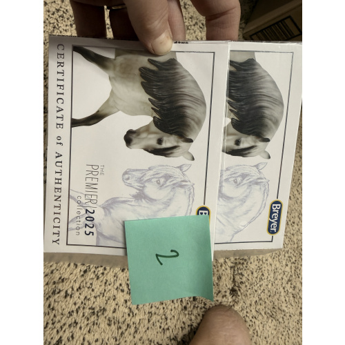 Breyer Material Premier Club COA Rowan