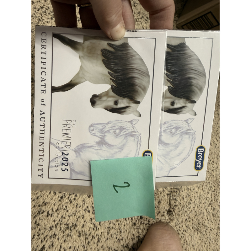 Breyer Material Premier Club COA Rowan