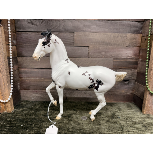 Breyer OF Model Horse Marawari Web Special Mumbai Exotic Destination