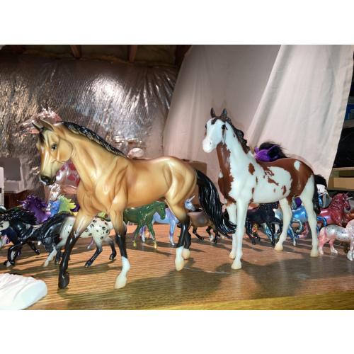 Breyerfest 2016 Tschiffely's Ride Gato and Mancha