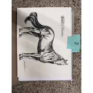 Breyer Material Premier Club Drawing Cancion