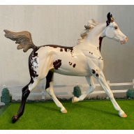 PS Felicity OF - glossy