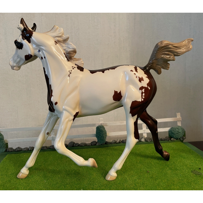 PS Felicity OF - glossy