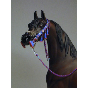 Equine Expressions Studio