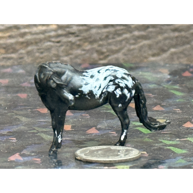 Resin Custom Horse Seunta Dime Sized Cutie To Black Appaloosa