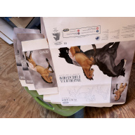 Breyer Material Premier Club Box Tigerlily & Firestorm