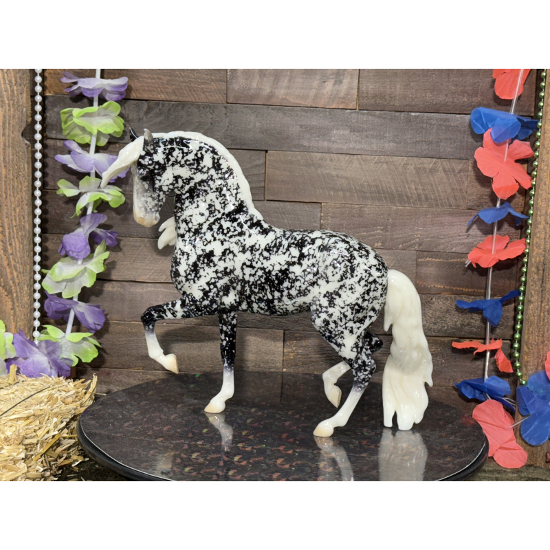 Breyer Custom Horse Traditional Animar Glossy Wild Dapple Black white Points