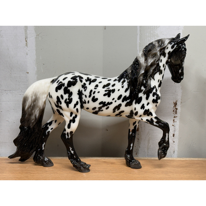 Breyer OF Model Horse BF Scandi Surprise GLOSSY Appy Bay Roan Gold Pinto Champagne