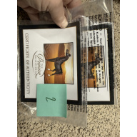 Breyer Material Premier Club COA Zafirah