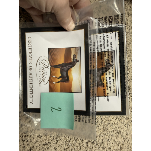 Breyer Material Premier Club COA Zafirah