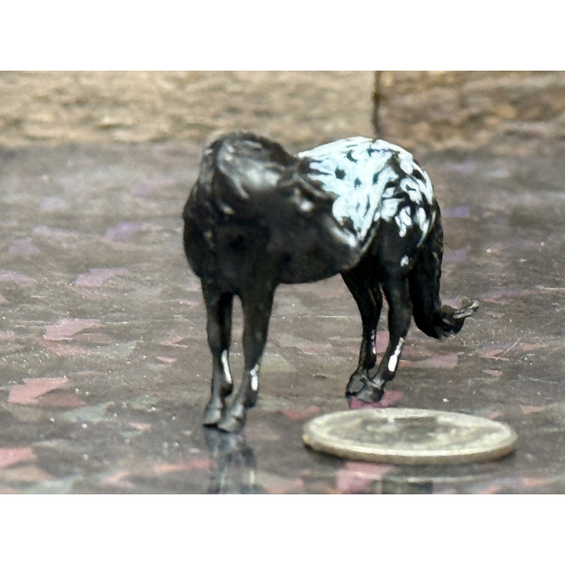 Resin Custom Horse Seunta Dime Sized Cutie To Black Appaloosa