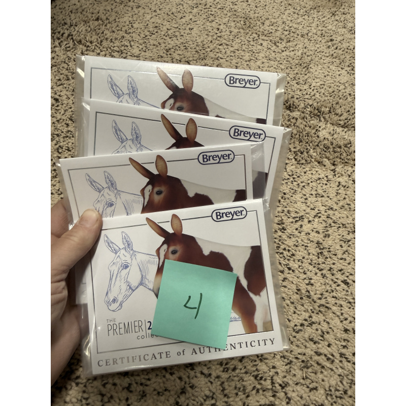 Breyer Material Premier Club COA Winnifred