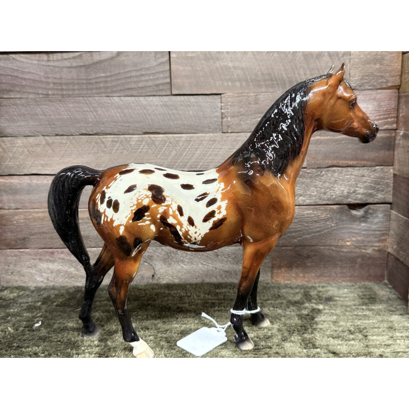 Breyer Custom Model Horse Proud Arabian Mare Buckskin Bay Blanket Appaloosa