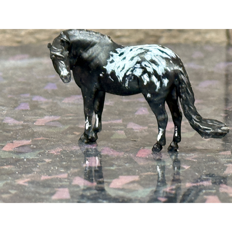 Resin Custom Horse Seunta Dime Sized Cutie To Black Appaloosa