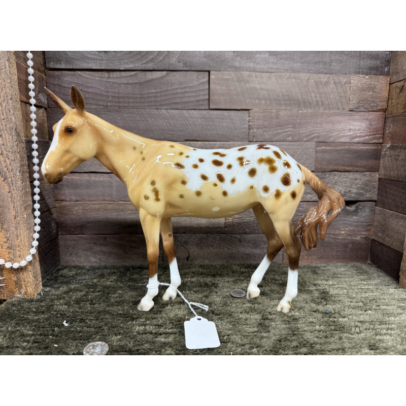 Breyer Custom Horse Traditional Molly Mule New Mold Glossy Dun Blanket Appaloosa