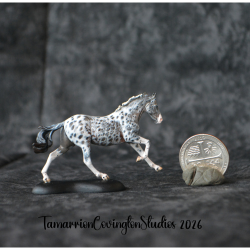 Roan appaloosa Custom micro mini Anise Painted and by Tamarion Covington